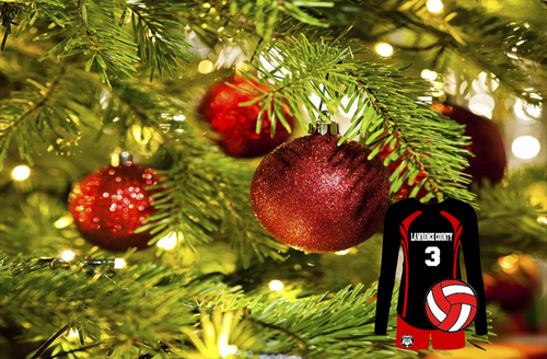 Volleyball ornament - Marcum Custom Graphics